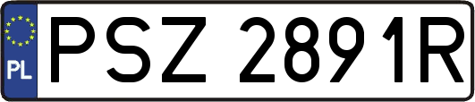 PSZ2891R