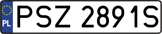 PSZ2891S