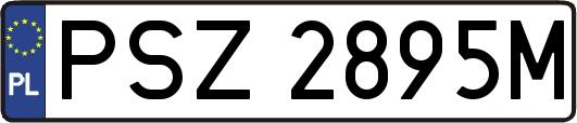 PSZ2895M