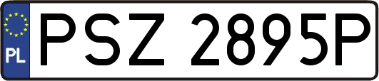 PSZ2895P