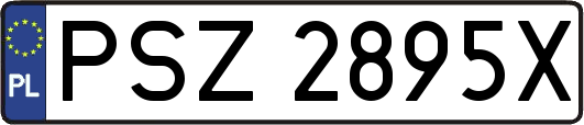 PSZ2895X