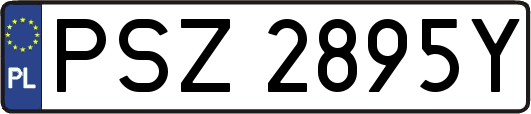 PSZ2895Y