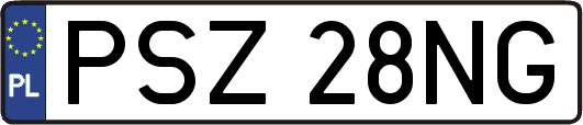 PSZ28NG