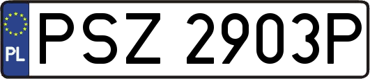PSZ2903P