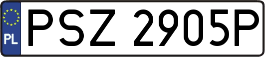 PSZ2905P