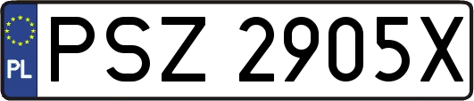 PSZ2905X