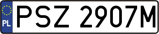 PSZ2907M