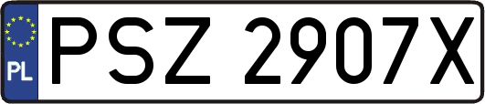 PSZ2907X