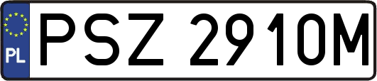 PSZ2910M