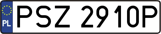PSZ2910P