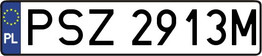 PSZ2913M