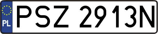 PSZ2913N
