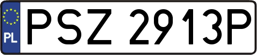 PSZ2913P