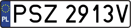 PSZ2913V