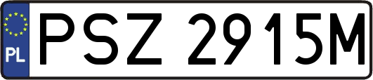 PSZ2915M