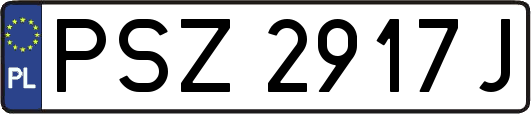 PSZ2917J