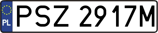 PSZ2917M