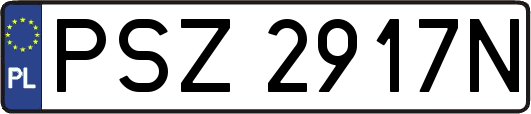 PSZ2917N