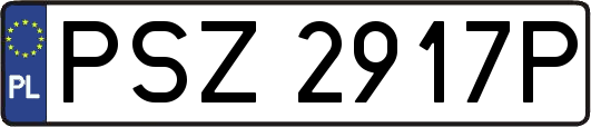 PSZ2917P