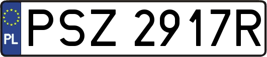 PSZ2917R