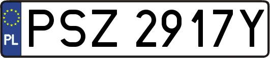 PSZ2917Y