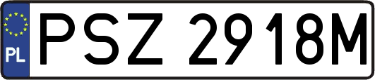 PSZ2918M