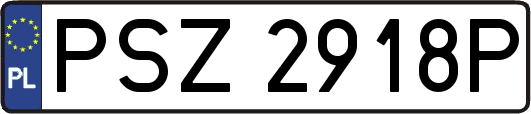 PSZ2918P