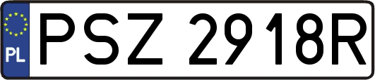 PSZ2918R