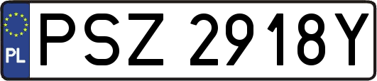 PSZ2918Y