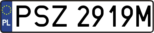 PSZ2919M