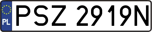 PSZ2919N