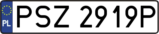 PSZ2919P