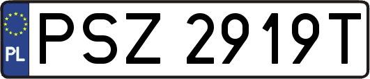 PSZ2919T