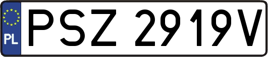 PSZ2919V