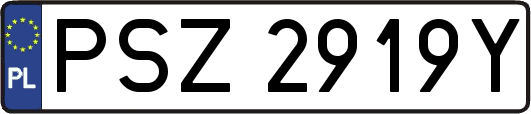 PSZ2919Y