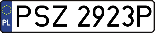 PSZ2923P