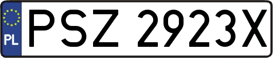 PSZ2923X