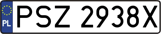 PSZ2938X