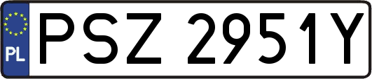 PSZ2951Y