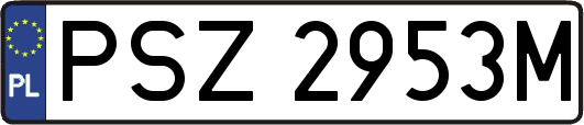 PSZ2953M