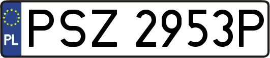PSZ2953P