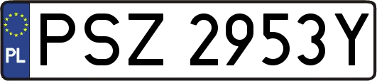 PSZ2953Y