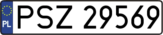 PSZ29569