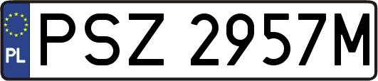 PSZ2957M