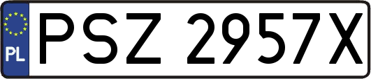 PSZ2957X