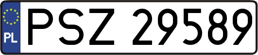 PSZ29589