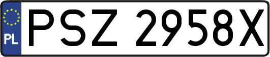PSZ2958X