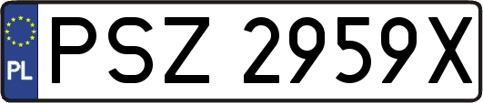 PSZ2959X