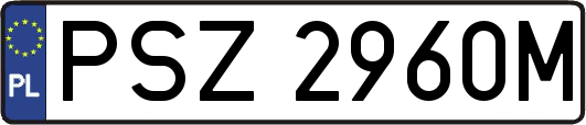 PSZ2960M