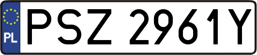 PSZ2961Y